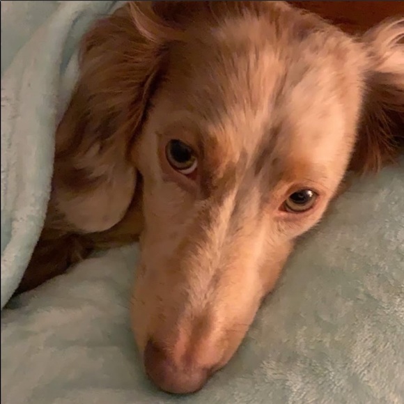 Share for share...⬇️⬇️⬇️⬇️. PLEASE read below. - Picture 14 of 16